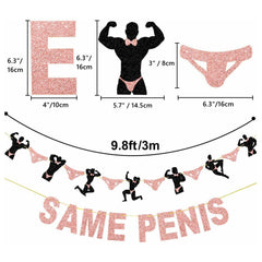 Stripper SAME PENIS FOREVER Glitter Bunting Banner Hens Night Bachelorette Hen Party Decor