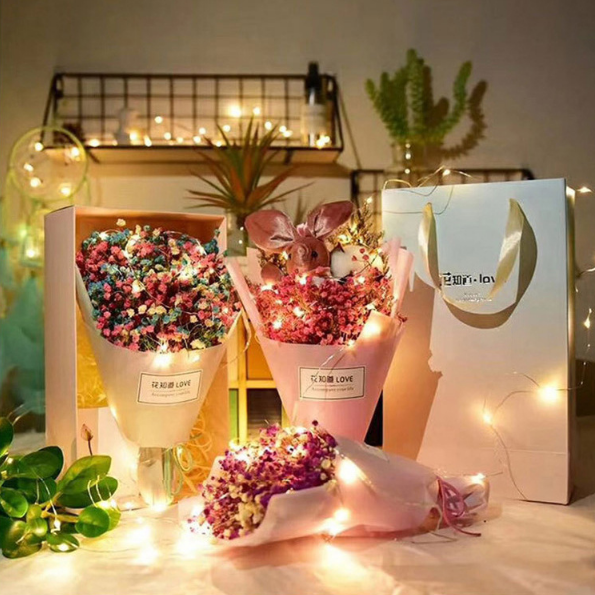 LED String Battery Powered Copper Wire Fairy Lights