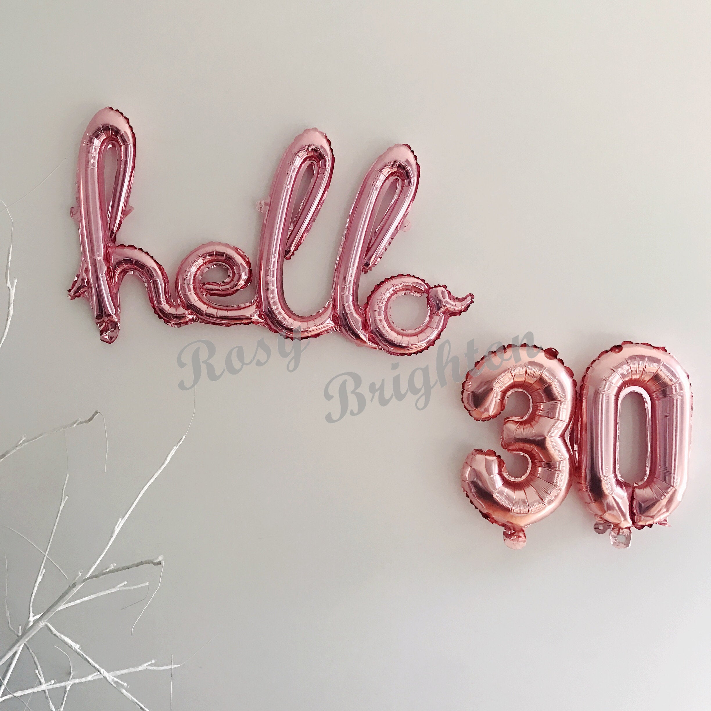 Hello 30th Rose Gold Birthday Pack 30 Thirtieth Garland Balloons Decorations Dirty Thirty Party Happy Birthday