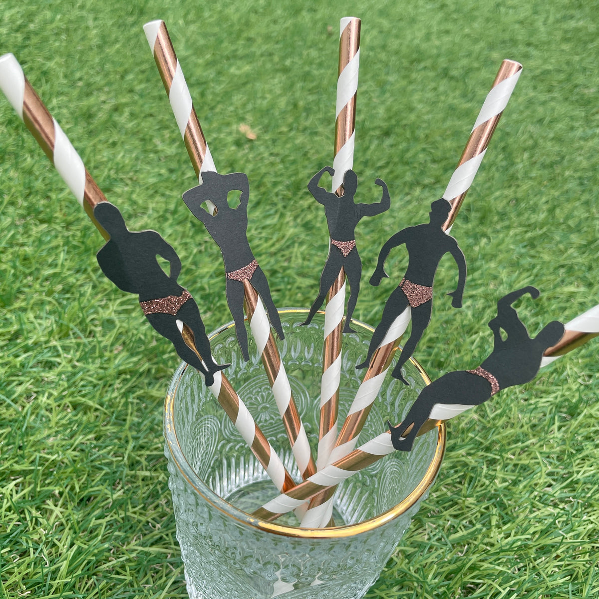 Pin The Junk on the Stud, Bachelorette Party Game, Bridal Shower, Birthday Party Game, Bachelorette Party Game, Wedding Game, Hen Party Game